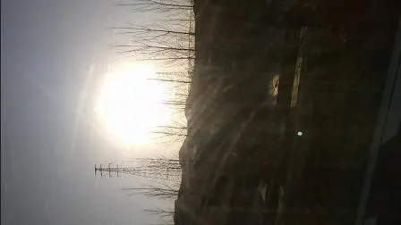 Megatro Telecom Tower&Mast (MG